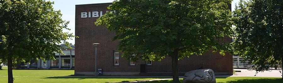 Vejle Bibliotek (Studiegruppe)